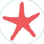 BOGG Bag Bits Starfish #252 Photo 1