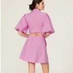 Jonathan Simkhai Aulora Cutout Mini Dress Photo 2