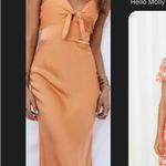 Hello Molly  Dress Photo 10