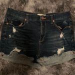 Mudd Denim Shorts Photo 0
