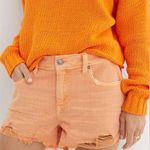 Aerie  Daydream High Waist Denim Short Size Small NWT Orange Photo 0