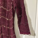 Francesca's Francesca’s Burgundy Lace Dress with Tulle Photo 4