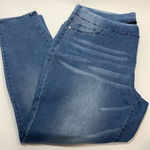Ashley Stewart ICONIC by  Women's Pull-On Jegging Blue Size 24 Regular Photo 0