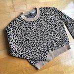 Divided Cropped Leopard Print Sweater, Tan, Black, Size S Photo 0