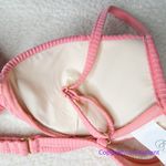 New! Peony Free People Panel Balconette Bikini Top, women size XL Pink Photo 4