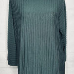 Eileen Fisher  Tencel Lyocell Sweater Top M Slate Green Ribbed Long Sleeve Photo 0