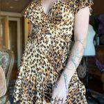Sexy Cheetah Mini Dress Small Multi Photo 0