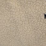 The Great Sherpa Cropped Sweatpant Ditsy Floral Embroidered ~ Washed White L NWT Photo 11