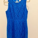 J.Crew  Fall Lace Romantic Cobalt Blue Floral Sheath Dress 8 Wedding Guest Formal Photo 1