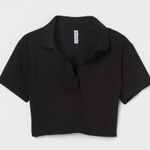 H&M MOVING SALE Black Collared Crop Top Photo 0