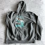 Patagonia Graphic Hoodie Photo 0