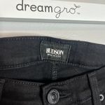 Hudson Jeans  black skinny jeans Photo 1