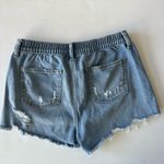 Aerie Love Tree Double Buttoned Paper Bag Waistband Denim Shorts Photo 7