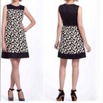 Anthropologie Leifnotes Dress A-Line Corduroy Blurred Dot  Black  Size 6 Photo 0