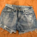 Polo  Ralph Lauren Denim Shorts Vintage Photo 0