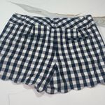 Ann Taylor  Black & White Shorts Photo 1
