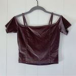 Bear Dance  Plum Velour Crop Top S Photo 1