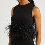 16arlington black Feather trim Top Size 2 Photo 0