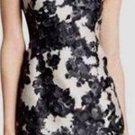 Kate Spade  Floral Black/Cream Dress Women’s 4 Photo 0