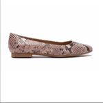 Steve Madden NEW Danni Flat Snake Print 8.5M Photo 1