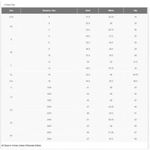 A New Day Paper Bag Wide Leg Pants Women’s Size Small Green Photo 11