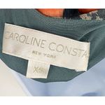 Caroline Constas Silk Vivan Floral Ruffled Georgette Maxi Gown Dress Slate Ombre Green Size XS Photo 13