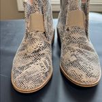 Ccocci  Snakeskin Ankle Booties in Black and Cream Photo 6