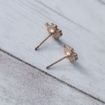 Stud Earrings Photo 4