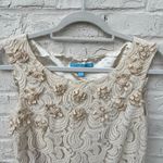 Boutique Cream Lace Shift Dress Photo 4