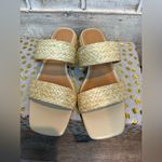 Joie  Niki Raffia vegan braided straw heel sandal size 8.5‎ NWT Photo 1