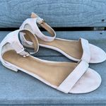 J.Crew Blush Pink Hadley Leather Suede Ankle Strap Buckle Flats/Sandals Shoes Photo 0