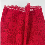 Sequin Hearts  Lace Shimmer Dress 15 Holiday Illusion Party Sexy Winter Valentine Photo 7