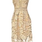 Romeo + Juliet Couture  Beige Crochet Lace Overlay Sleeveless Dress Size Small Photo 2