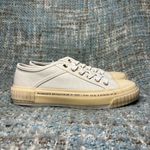 ALLSAINTS  Ghost Jackie Low Top Lace Up Sneakers in White Photo 5