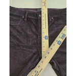 Hudson  Nico Midrise Skinny Purple Ombre Velvet Cropped Ankle Pants Sz 30 Stretch Photo 3