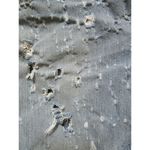 PacSun Men 32" Slim Shorts Diamond Stash Distress Denim Vertical Stretch Holes Photo 8