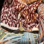 Fig & Flower Large Hi Photo 12