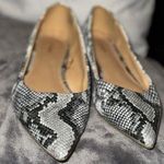 EXPRESS Snakeskin Classic Pointed Ballerina Flats Shoes Photo 0