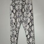 Balance Athletica  Vitality Ascend Python Leggings Size Medium Photo 0