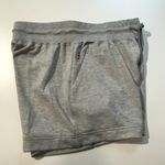 Easton x Jen Schro All Day All Night Shorts in Heather Gray Size L NWT Photo 3