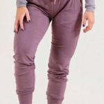 Paragon Fitwear Errand Joggers Purple Photo 0