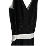 Scarlett  Black Dress with Belt Photo 4