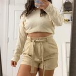 ZARA Brown High Waisted Shorts Photo 0