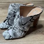 New York & Co. Women's Gray Snakeskin Print Slip On Sofia Dress Sandals sz 9 Photo 1
