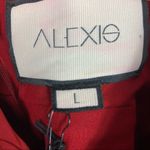 Alexis  Marilou V neck Holiday Formal Party mini dress Photo 5