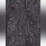 Joie 'Eshe' Gray Scalloped Lace V-Neck Fit & Flare Party Dress Size 4 Photo 9