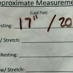 Savanna Jane Ivory Black Embroidered Ruffle Cropped Top Size Small Bohemian Boho White Photo 4