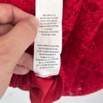 Sequin Hearts  Lace Shimmer Dress 15 Holiday Illusion Party Sexy Winter Valentine Photo 11