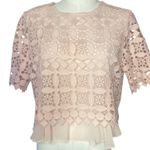 Sandro Paris Claude Nude Pink Lace
Peplum Top Size 3 (L)E10851E Photo 5