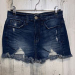 SO  Vintage Stretch Denim Shorts 3/25W | High Rise Distressed Raw Hem NWT Photo 0